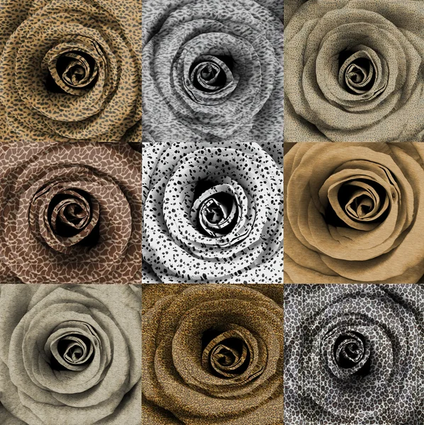 Compilation of roses with animal skin print — Stock Photo, Image
