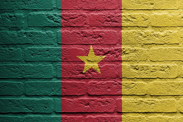 Tuğla duvar boyama bir bayrak, Kamerun — Stok fotoğraf