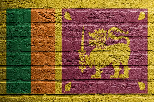 Brick wall with a painting of a flag, Sri Lanka — Stock Photo, Image