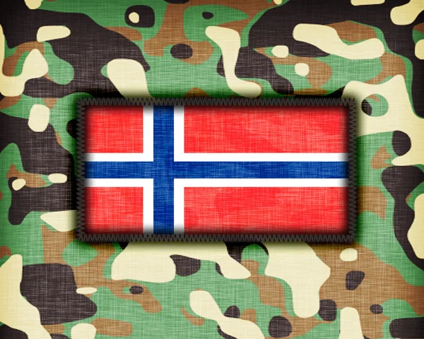 Amy kamuflaj üniforma, Norveç — Stok fotoğraf