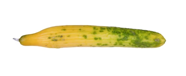 黄瓜转动黄色 — 图库照片