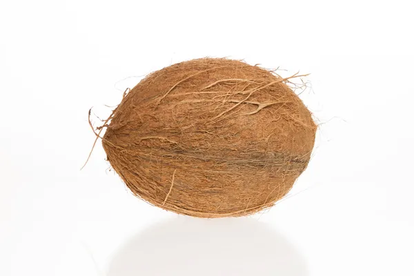 Coconut with it's shade — Stock Photo, Image