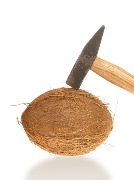 Coconut and a hammer — Stock Photo, Image