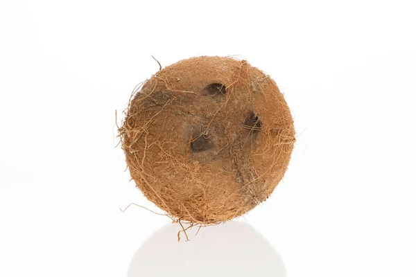 Coconut with it's shade — Stock Photo, Image