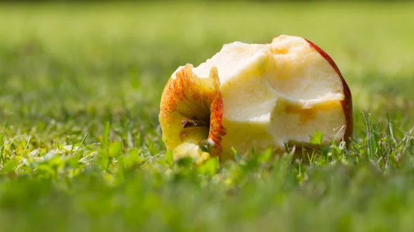 Comer manzana tendida en la hierba — Foto de Stock