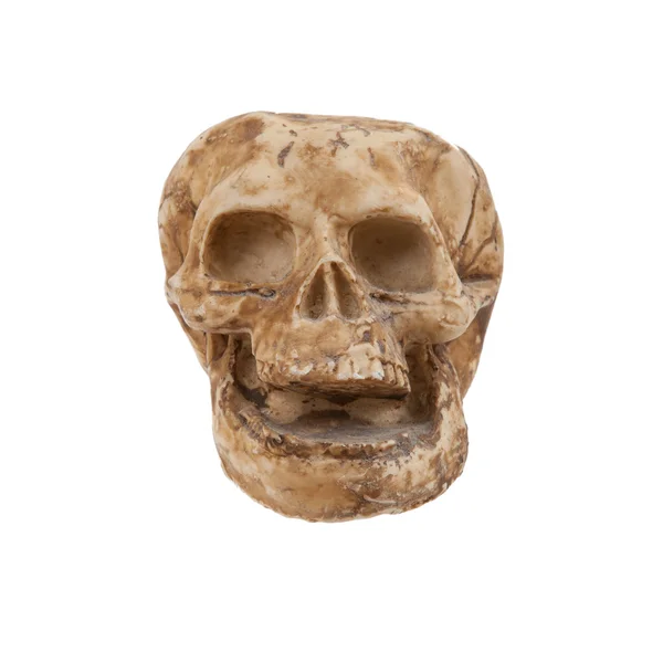Enkele oude schedel geïsoleerd — Stockfoto