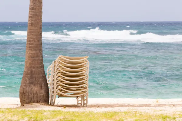 Stack of beach chairs under palm tree — Stock Photo, Image