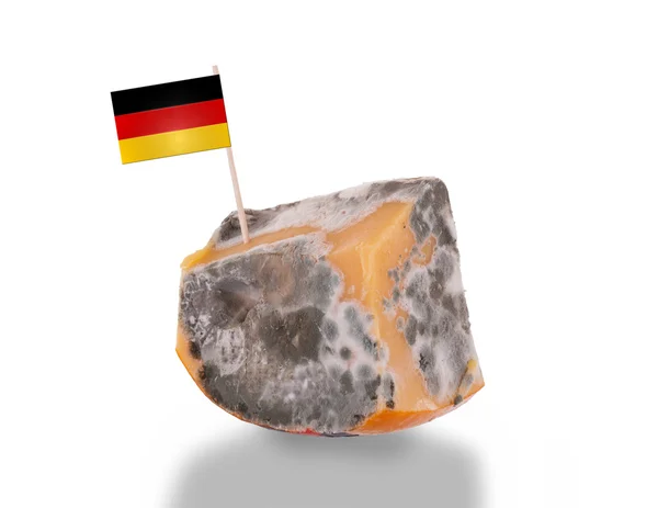 Piece of cheese gone bad — Stock Photo, Image