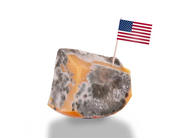 Piece of cheese gone bad — Stock Photo, Image