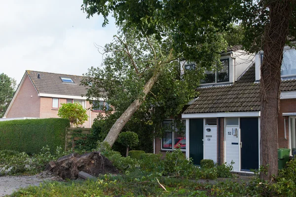 LEEUWARDEN, NETHERLANDS, OKTOBER 28, 2013: Massive storm hit the — Stock Photo, Image