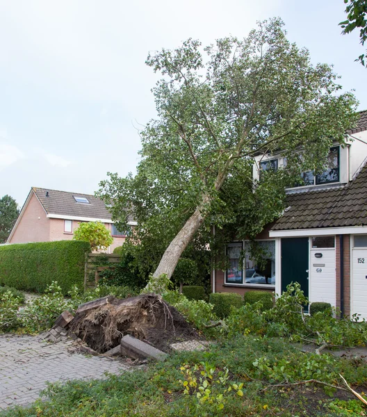 Leeuwarden, Nederland, oktober 28, 2013: enorme storm hit de — Stockfoto