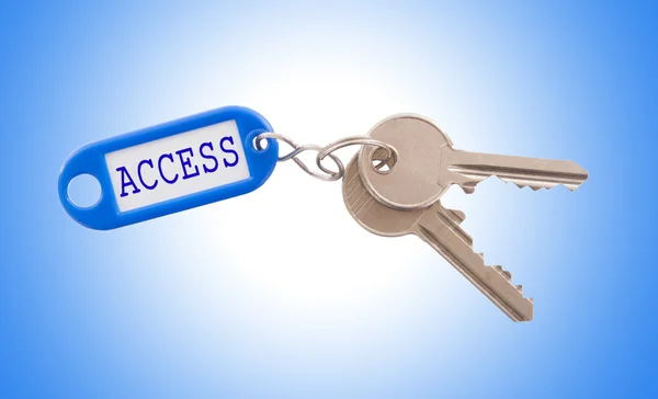 Schlüssel mit Zugangsetikett isoliert — Stockfoto