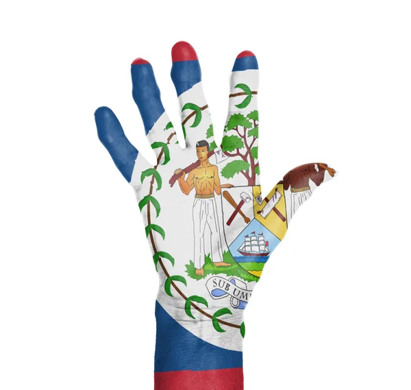 एक महिला हाथ का पाम, ध्वज से चित्रित — स्टॉक फ़ोटो, इमेज