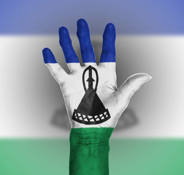 Palma de uma mão mulher, pintada com bandeira — Fotografia de Stock
