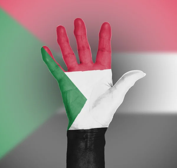 Palme d'une main de femme, peinte avec drapeau — Photo