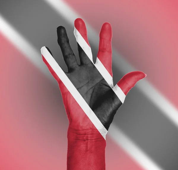 Handfläche einer Frau, bemalt mit Flagge — Stockfoto