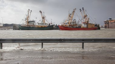 aşırı yüksek gelgit Hollanda