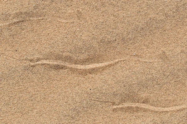 Sidewinding slang sporen in het zand — Stockfoto