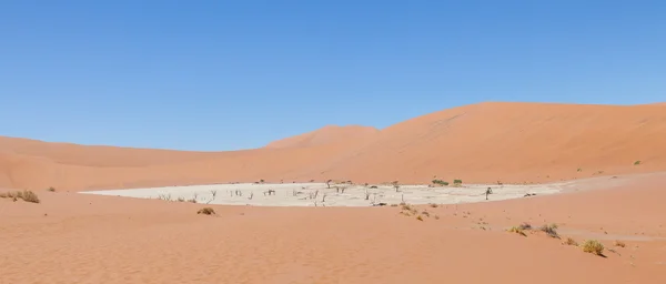 Vue sur le deadvlei avec les célèbres dunes rouges du désert namibien — Photo