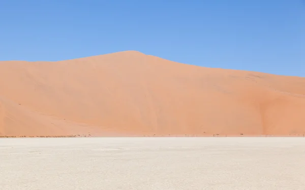 Vista sobre o deadvlei com as famosas dunas vermelhas do deserto do Namib — Fotografia de Stock