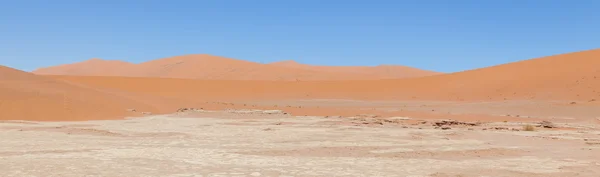 Árboles de acacia muertos y dunas rojas del desierto de Namib — Foto de Stock