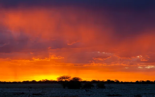 Pittoreske scène van etosha nationaal park over zonsondergang — Stockfoto