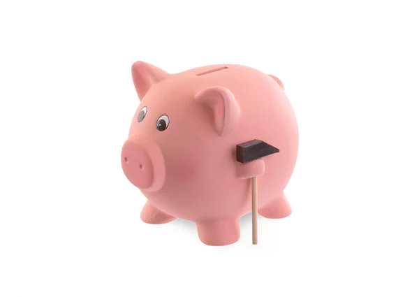 Unique pink ceramic piggy bank — Stock Photo, Image