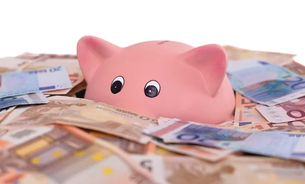 Unique pink ceramic piggy bank drowning in money — Stock Photo, Image