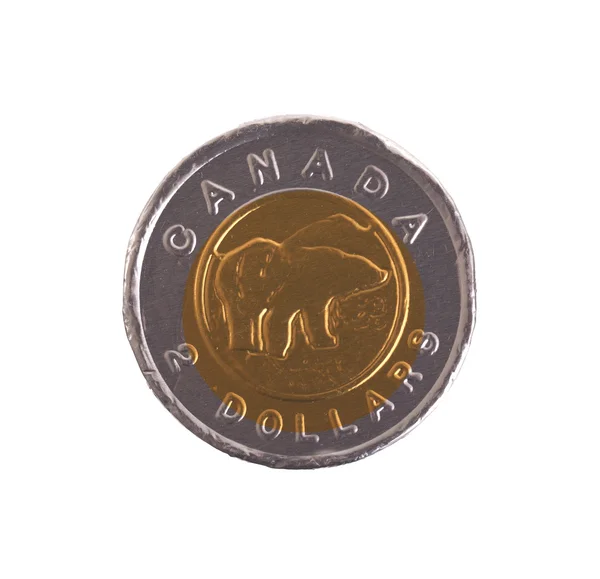 Canadian dollar, chocolate coins — Stock Photo, Image
