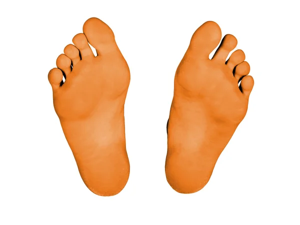 Feet isolated — Stock Photo, Image