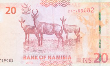 Yirmi Namibya Doları