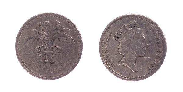 Ett brittiskt pund mynt — Stockfoto