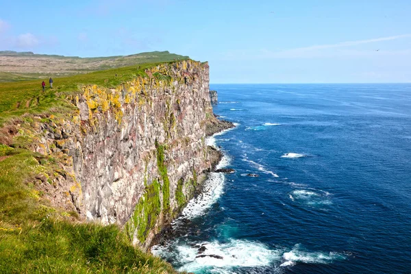 Bu görkemli yüksek kayalıklar Latrabjarg 'da, İzlanda' nın en batı noktasında, milyonlarca kuşun yuvası, Avrupa 'nın 14km uzunluğunda ve 440 metre yüksekliğindeki en büyük kuş uçurumları.