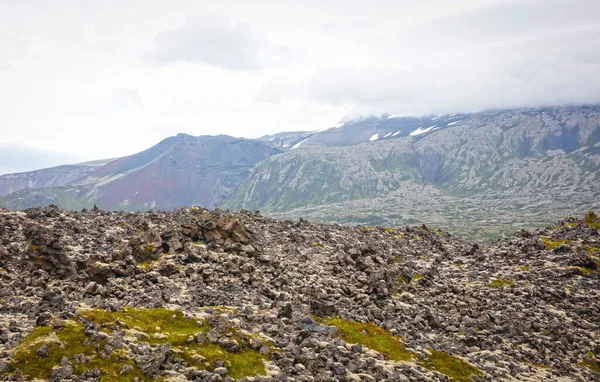 Vecchio Campo Lava Ricoperto Muschio Verde Islanda Occidentale — Foto Stock