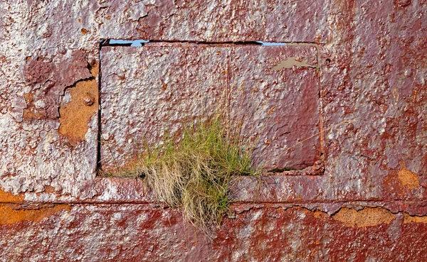 Detail Eines Alten Rostigen Schiffswracks Den Westfjorden Nordwest Island — Stockfoto