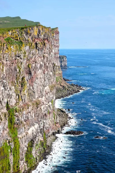 这些雄伟的悬崖峭壁座落在冰岛最西端的拉特拉布拉赫海角 那里有数百万只鸟类 是欧洲最大的悬崖峭壁 长14Km 高达4 4亿头 — 图库照片