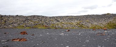 İzlanda Snaefellsnes 'deki kara sahilde bir tekne enkazının paslı kalıntıları.