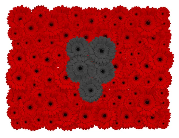 Албанський Прапор Квітів Гербера Ізольований Білому — стокове фото