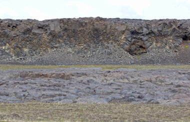 Yeşil yosunlarla kaplı eski lav tarlası, Batı İzlanda