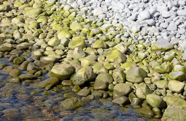 アイスランドの海岸にある緑の海の水の石と岩 — ストック写真