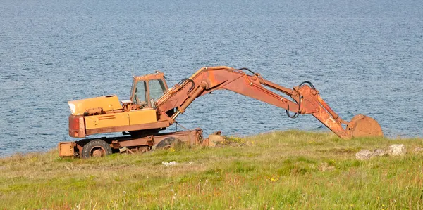 Oude Gele Graver Een Weide West Ijsland — Stockfoto