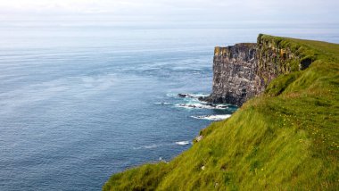 Bu görkemli yüksek kayalıklar Latrabjarg 'da, İzlanda' nın en batı noktasında, kordon altına alınmış toprak parçası, çökme tehlikesi - milyonlarca kuşun yuvası, Avrupa 'nın 14km uzunluğunda ve 440 m yüksekliğindeki en büyük kuş uçurumları.