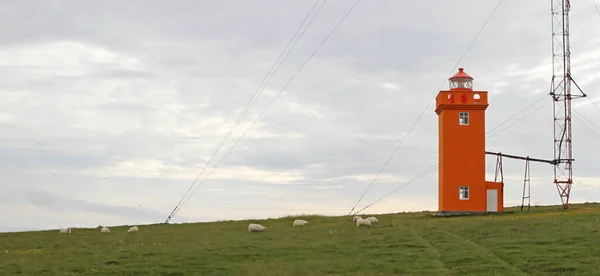 Faro Rosso Sulla Scogliera Nel Nord Dell Islanda — Foto Stock