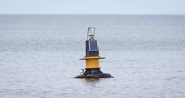 İzlanda sularında siyah ve sarı şamandıra, tepesinde martı yiyor.