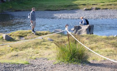 Kirkjufell, İzlanda 7 Ağustos 2021 - İzlanda halkının koyduğu sınırları görmezden gelen yabancı turistler, doğayı küçük düşürüyorlar.