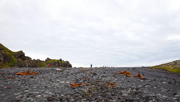 Snaefellsnes Island August 2021 Überreste Eines Bootswracks Schwarzen Strand Auf — Stockfoto
