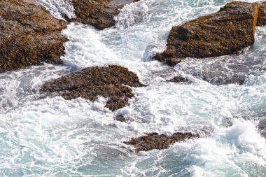 İzlanda sahillerindeki dalgalı Atlantik suları, yaz mevsimi