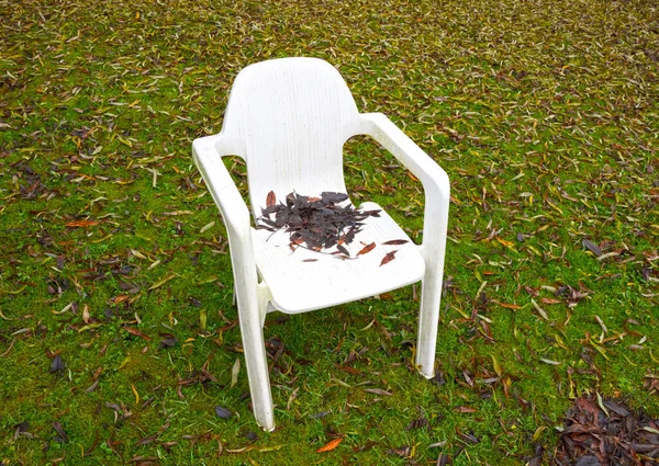White Chair Leaves Selective Focus — Stockfoto