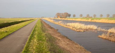 Rüzgarlı bir günde tipik bir Hollanda açık arazisi (fırtınalı gökyüzü), Friesland