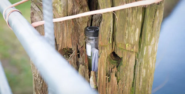 Geocache Verborgen Bij Een Hek Het Nederlandse Landschap Selectieve Focus — Stockfoto